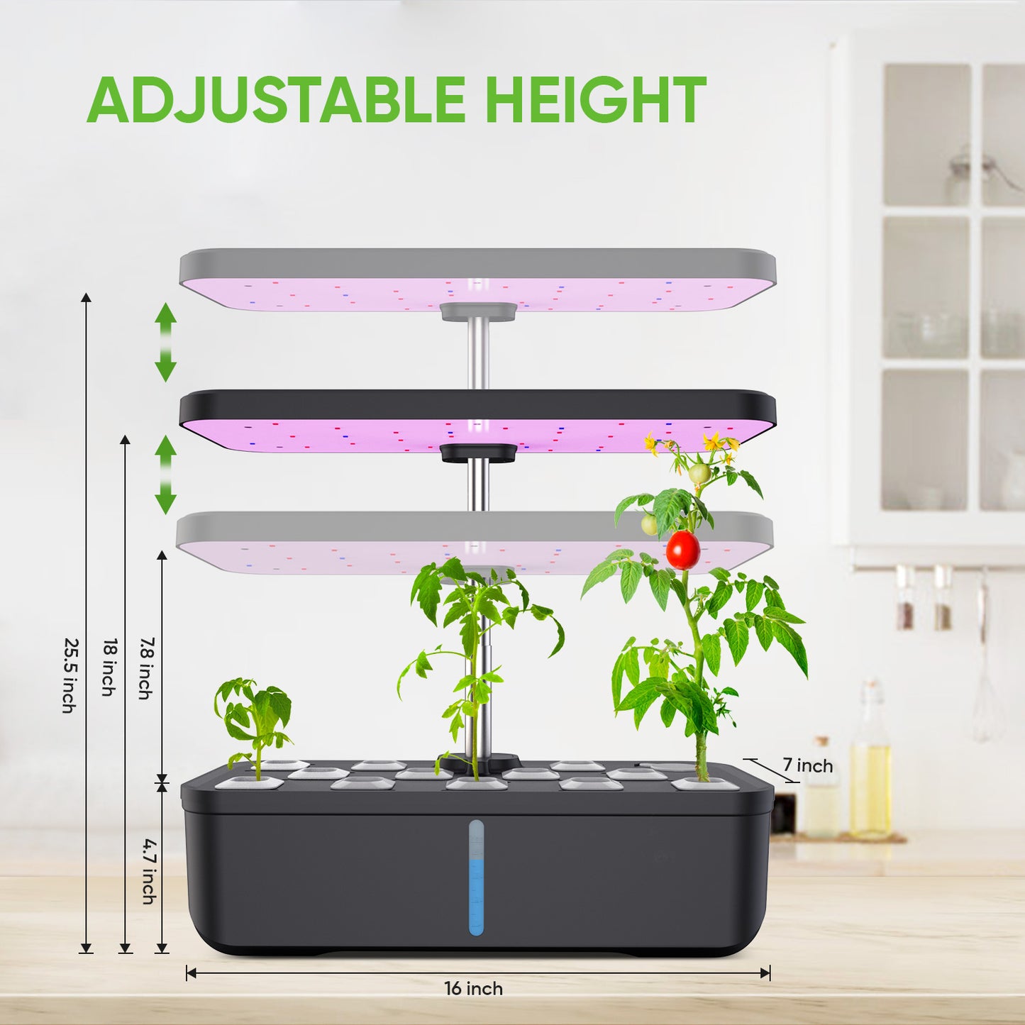BEST SELLER 🥬🍓🌷🌿Hydroponics Growing System Garden Kit : 12 Pods Plant Germination Kit Herb Indoor Garden Growth Lamp Countertop with LED Grow Light